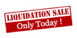 © carmenbobo - Liquidation sale only today