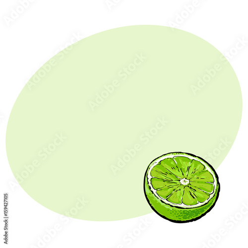 Half of green lime, hand drawn sketch style vector illustration with