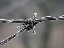 Frozen Wire