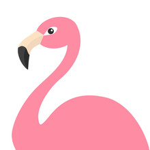 Pink Flamingo Body. Exotic Tropical Bird. Zoo Animal Collection. Cute Cartoon Character. Decoration Element. Flat Design. White Background. Isolated.
