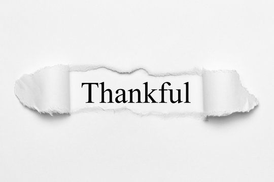 Thankful on white torn paper