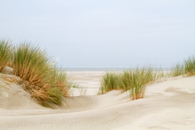 View Between Two Dunes Grown With Marram Grass On A Vast Beach And The Sea