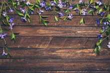 Periwinkle Flowers On Rustic Wooden Background. Vinca Spring Flowers Border.