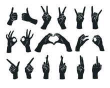 Gesture Set. Female Hands Showing Different Signs. Vector.