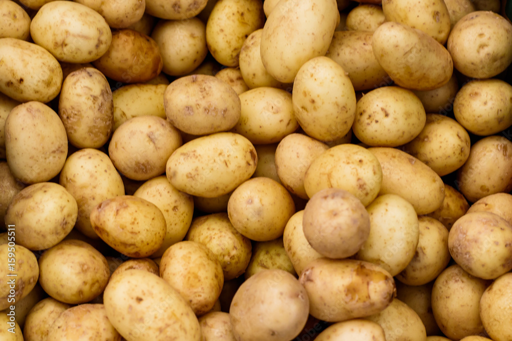 Small White Potatoes at a Farmers Market - obrazy, fototapety, plakaty 