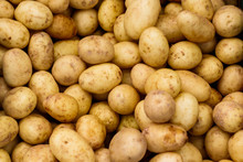 Small White Potatoes At A Farmers Market