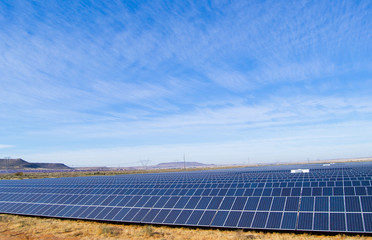 Wall Mural - Solar Energy Farm