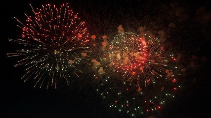 Wall Mural - fireworks in the night sky in honor of the holiday.