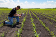 © Nolan - Agronomist Using a Tablet in an Agricultural Field
