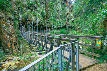  The Karangahake Gorge lies between the Coromandel and Kaimai ranges, at the southern end of the Coromandel, river flowing through Karangahake gorge surrounded by native rainforest, Peninsula in New