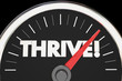 Thrive Word Speedometer Rise Succeed 3d Illustration
