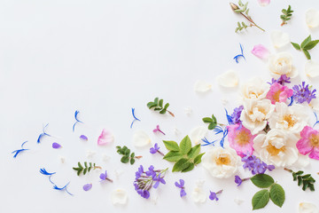 Wall Mural - summer flowers on white background