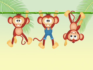 Wall Mural - funny monkeys in the jungle