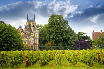 Wall Mural - Chateau with vineyards, Burgundy, France