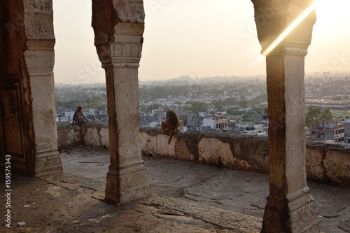 Photo  Jaipur view