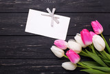 Fototapeta Tulipany - Bright pink and white tulips flowers and empty tag