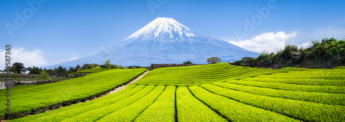 Plakat Góra Fuji i pola herbaciane w Japonii