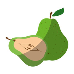 Delicious pear fruit icon vector illustration graphic design