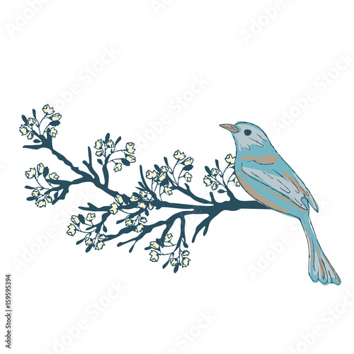 Bird On A Flowering Branch Of A Tree Spring Birds And Flowers A