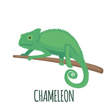 Cute Green Chameleon In Flat Style.