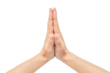 Wall Mural - Beautiful female hand prays gesture. Isolated on white background