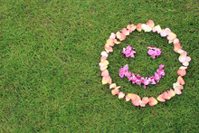 Smiley Face Emoticon From Petals Of Rose On Background Of Grass. Copy Space Is Left And Bottom.