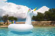 Unicorn in swimming pool - Cute swim tube 