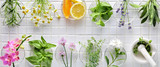 Fresh herbs