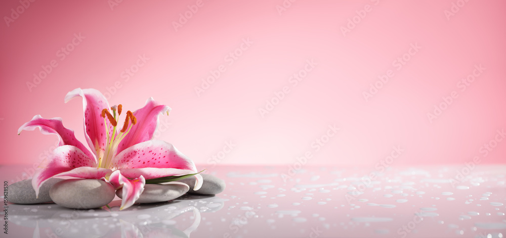 Lily and massage stones