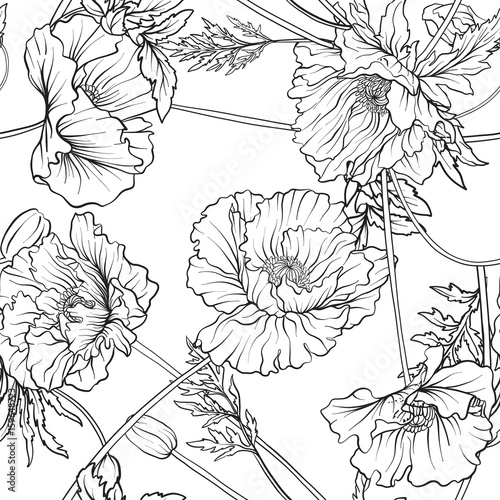 Coloring Page Poppy Flower : Coloring Page With Poppies And Leaves Vector Page For Coloring Flower Colouring Page Floral Print Outline Poppies Black And White Page For Coloring Book Anti Stress Coloring Line Art Flowers 2370600 Vector Art - Download coloring pages poppy flower and use any clip art,coloring,png graphics in your website, document or presentation.