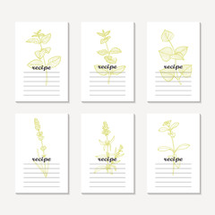 Recipe cards collection with hand drawn spicy herbs. Sketched mint, melissa, perilla, lavender, hyssop, stevia