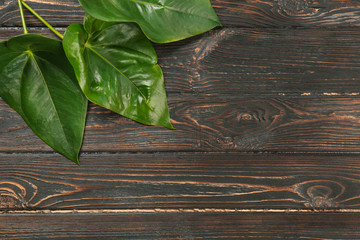 Wall Mural - Composition with green tropical leaves on wooden background