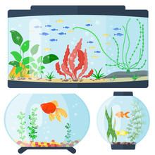 Transparent Aquarium Vector Illustration Habitat Water Tank House Underwater Fish Tank Bowl.