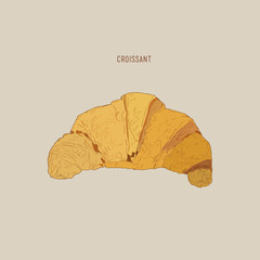 Wall Mural - a hand drawn vector illustration of a Croissant.