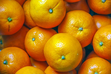 Wall Mural - oranges