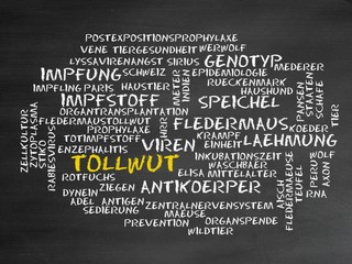 Poster - Tollwut