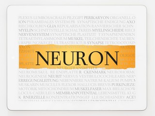 Sticker - Neuron