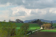 Green fields in a spring day,