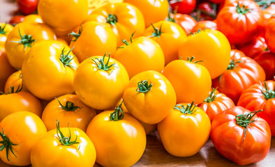 Wall Mural - Yellow and Red Tomatoes