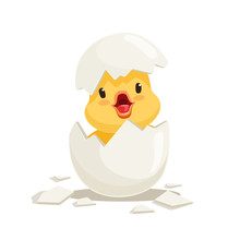 Funny Yellow Newborn Chicken In Broken Egg Shell, Cute Emoji Character Vector Illustration