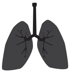 Wall Mural - lung icon on white background. lung sign.