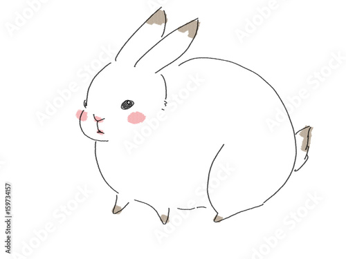 うさぎ アドビストックのデザイン かべいろ Com おしゃれ壁紙リフォーム貼り替え インクジェット壁紙のかべいろ Com