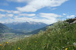Alpenpanorama, Blick von einer Kräuterwiese über das Alpental auf Berggipfel mit Schnee