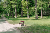 Fototapeta Kuchnia - bench in an oak tree near a path in the arboretum
