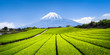 Mount Fuji mit Teefeldern in Shizuoka, Japan