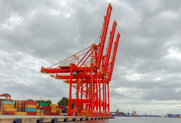 Wall Mural - Gdynia. Marine cargo port.