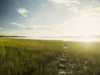 © Erik Isakson/Tetra Images - Small girl (4-5) walking on stepping stones in meadow