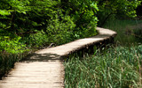Fototapeta Pomosty - path along a lake