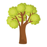 Fototapeta Młodzieżowe - tree plant isolated icon vector illustration design