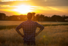 Rear View Of Farmer In Field At Sunset